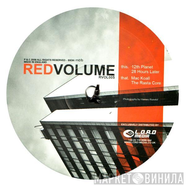 / 12th Planet  Mac Koall  - 28 Hours Later / The Rasta Core