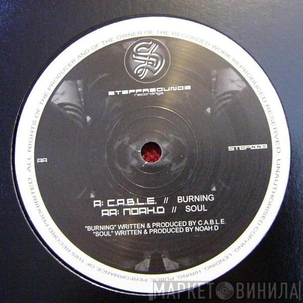 / C.A.B.L.E.  Noah D  - Burning / Soul