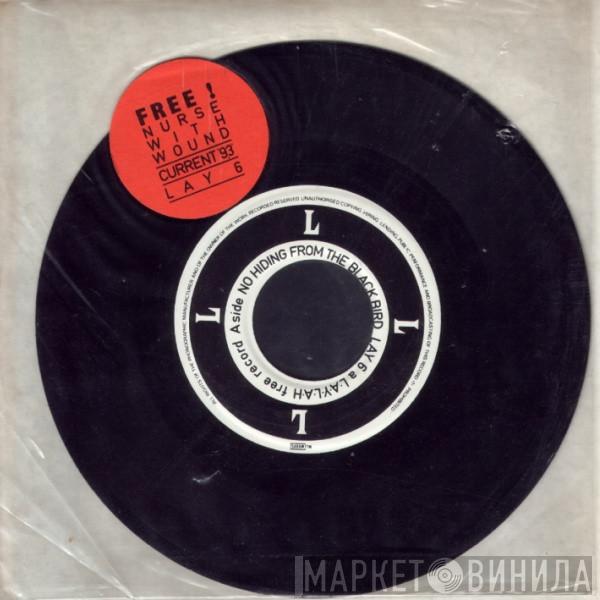 / Current 93  Nurse With Wound  - No Hiding From The Blackbird / The Burial Of The Sardine