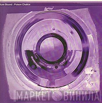 / Future Bound  System 3   - Poison Chalice / I Want You