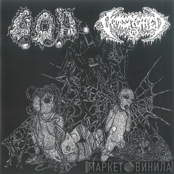 / G.O.D.   Domesticated  - G.O.D. / Domesticated