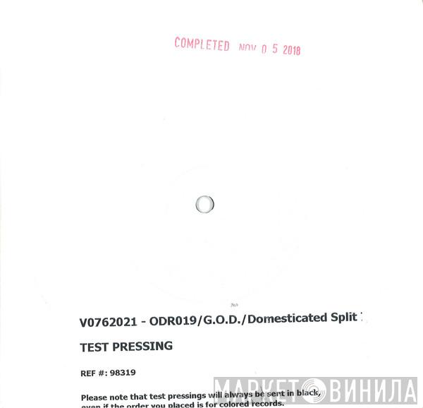 / G.O.D.   Domesticated  - G.O.D./Domesticated Split