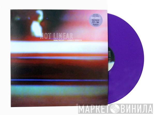 / Gino Pavan + Guido Frezzato / Giulio Aldinucci  Eraldo Bernocchi  - Not Linear