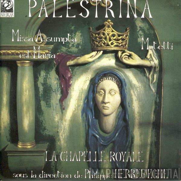 , Giovanni Pierluigi da Palestrina , La Chapelle Royale  Philippe Herreweghe  - Missa Assumpta Est Maria / Motetti