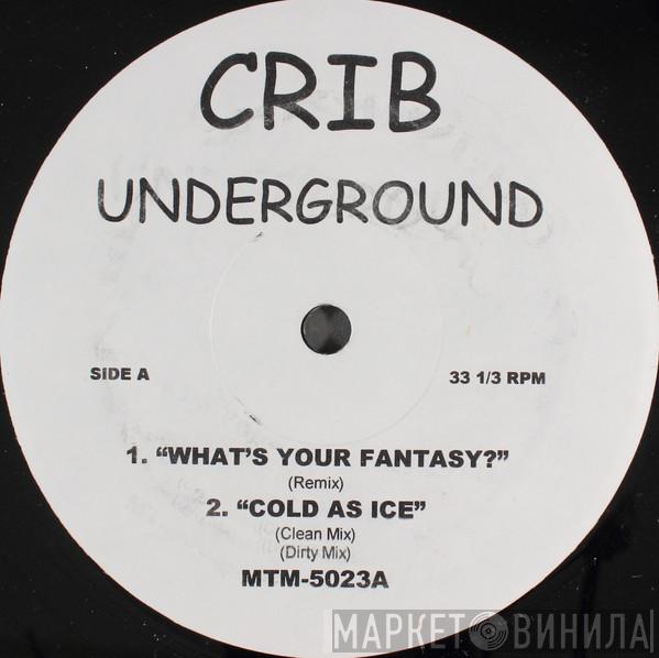 / LL Cool J / Ludacris  M.O.P.  - Fuhgidabowdit / What's Your Fantasy / Cold As Ice