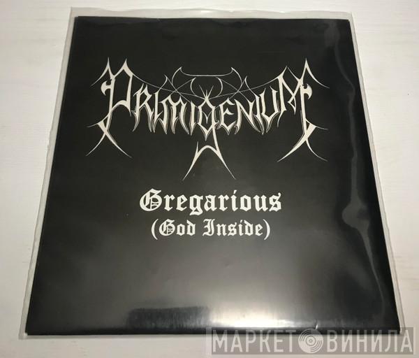 / Primigenium  Aversio Humanitatis  - Gregarious (God Inside) / The Evershifting Path