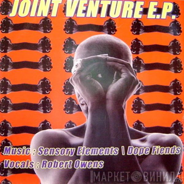 / Sensory Elements / Dope Fiends  Robert Owens  - Joint Venture E.P.