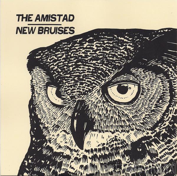 / The Amistad  New Bruises  - The Amistad / New Bruises
