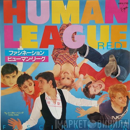 = The Human League  The Human League  - Fascination = ファシネーション
