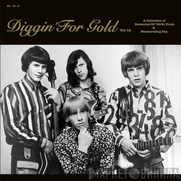  - Diggin' For Gold Vol 14 (A Collection Of Demented 60' R&B/Punk & Mesmerizing Pop.)