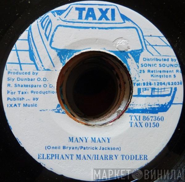 / Elephant Man  Harry Toddler  - Many Many