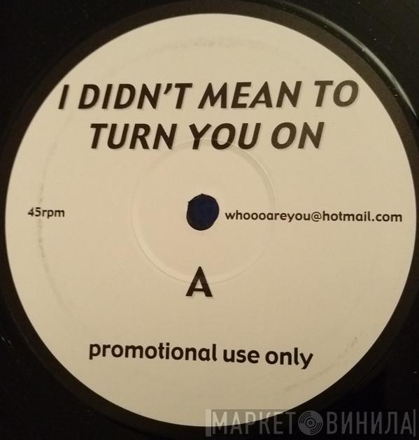  - I Didn't Mean To Turn You On / Rock Freak