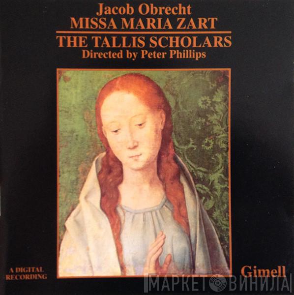 / Jacob Obrecht Directed By The Tallis Scholars  Peter Phillips   - Missa Maria Zart