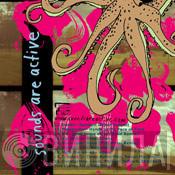  - Sounds Are Active / Asthmatic Kitty 2004 Sampler