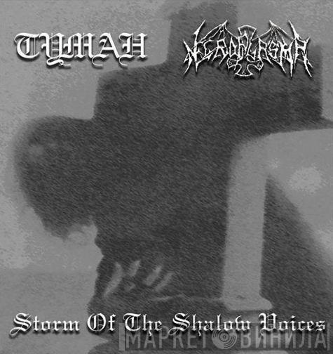 / Туман  Necroplasma  - Storm Of The Shallow Voices