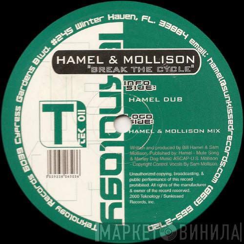 & Bill Hamel  Sam Mollison  - Break The Cycle