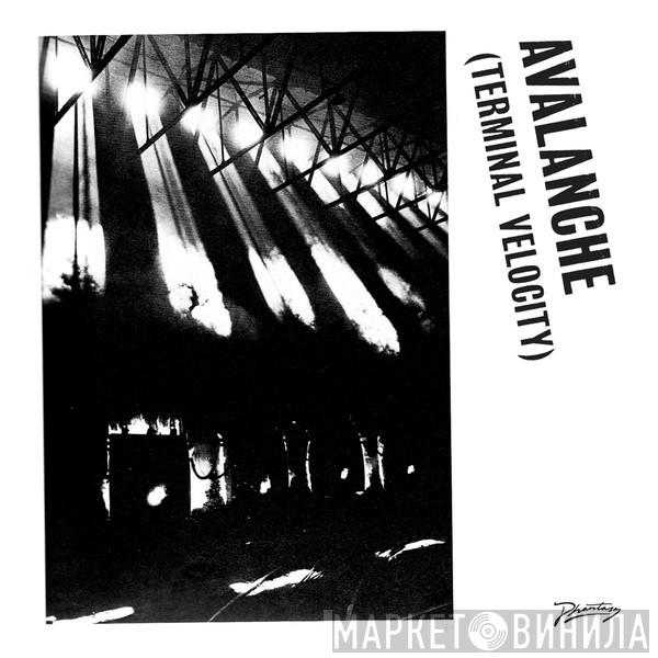 & Boys Noize Feat. Erol Alkan  Jarvis Cocker  - Avalanche (Terminal Velocity)