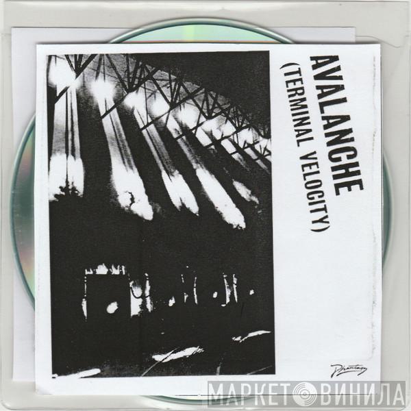 & Boys Noize Feat. Erol Alkan  Jarvis Cocker  - Avalanche (Terminal Velocity)