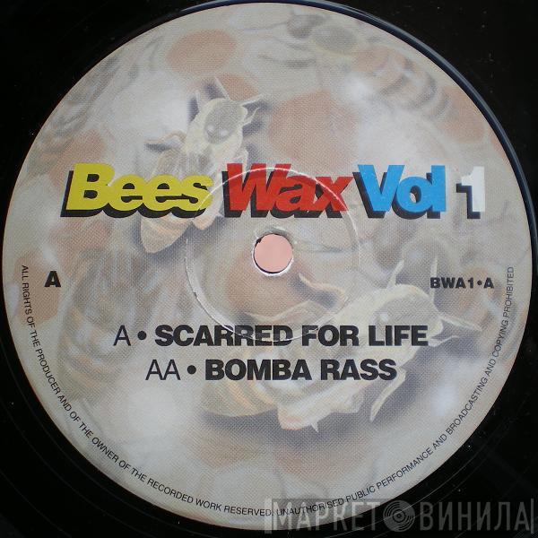 & DJ Wacko  Bizzy B  - Bees Wax Vol 1