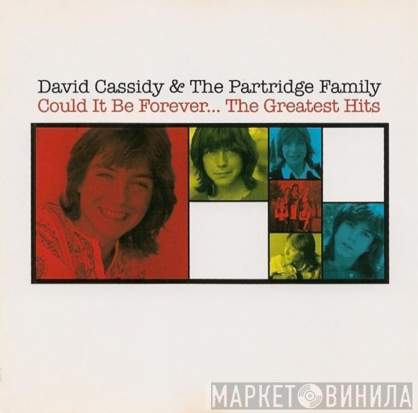 & David Cassidy  The Partridge Family  - Could It Be Forever... The Greatest Hits