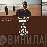 & Dwight Trible  The Life Force Trio  - Love Is The Answer