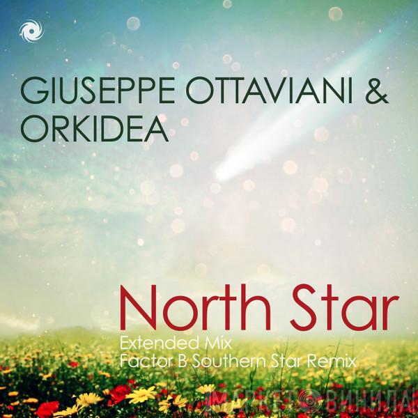 & Giuseppe Ottaviani  Orkidea  - North Star