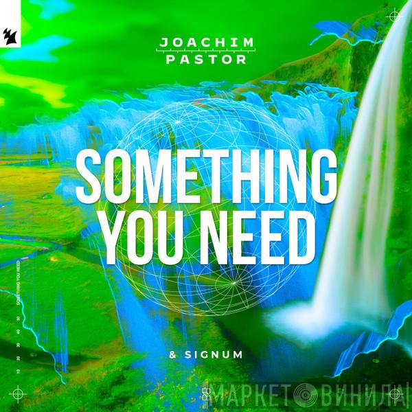 & Joachim Pastor  Signum  - Something You Need