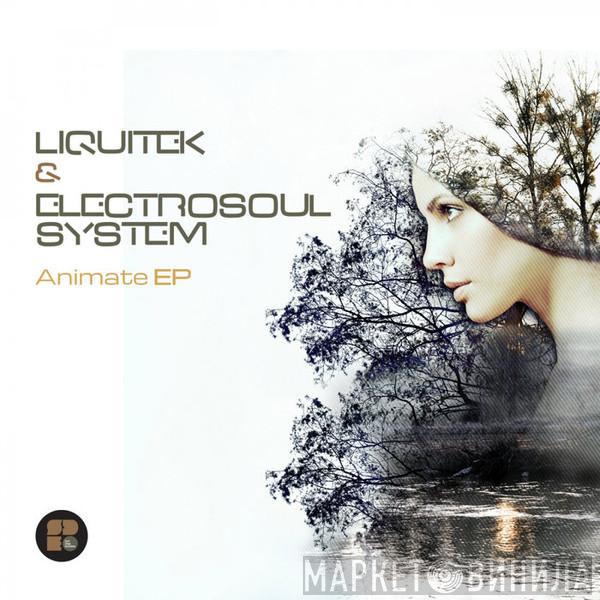 & Liquitek   Electrosoul System  - Animate EP