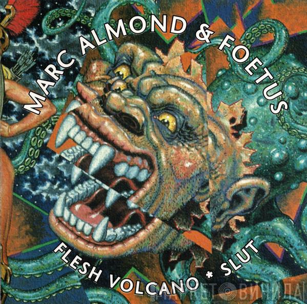 & Marc Almond  Foetus  - Flesh Volcano / Slut