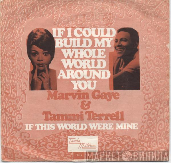 & Marvin Gaye  Tammi Terrell  - If I Could Build My Whole World Around You / If This World Were Mine