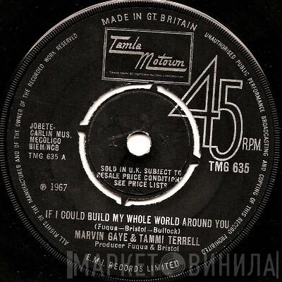 & Marvin Gaye  Tammi Terrell  - If I Could Build My Whole World Around You