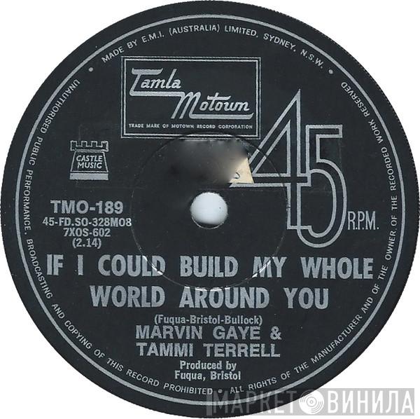 & Marvin Gaye  Tammi Terrell  - If I Could Build My Whole World Around You