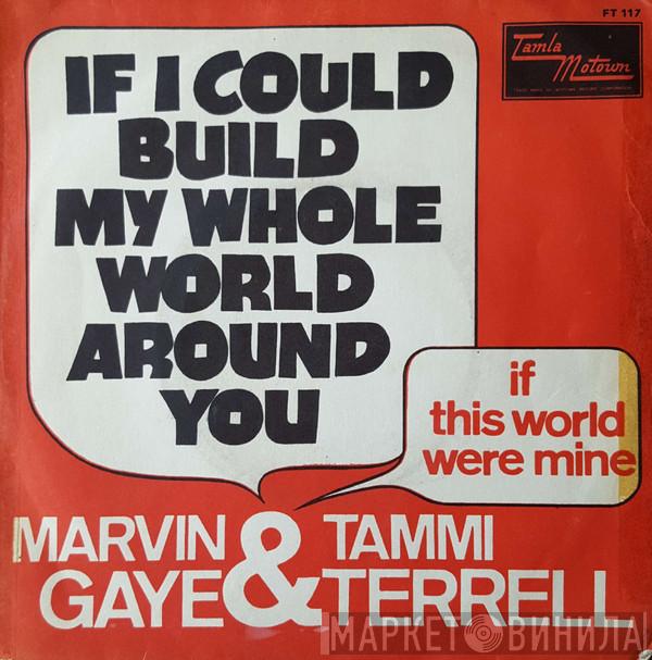 & Marvin Gaye  Tammi Terrell  - If I Could Build My Whole World Around You
