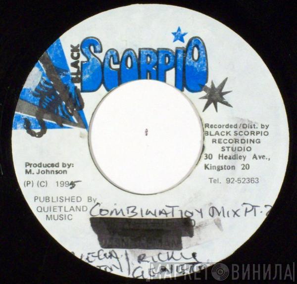 & Ricky General  Mega Banton  - Combination Mix Pt.2