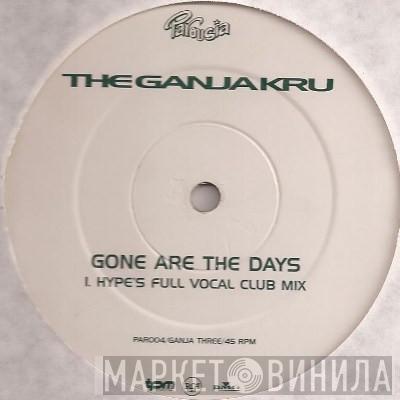 & The Ganja Kru  Rude Bwoy Monty  - Gone Are The Days (DJ Hype Remixes)