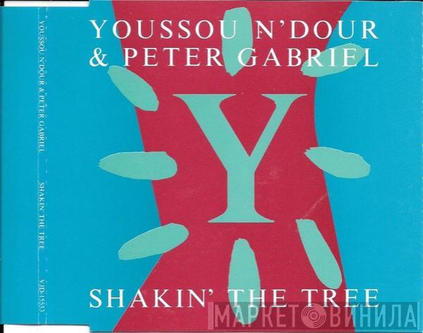 & Youssou N'Dour  Peter Gabriel  - Shakin' The Tree