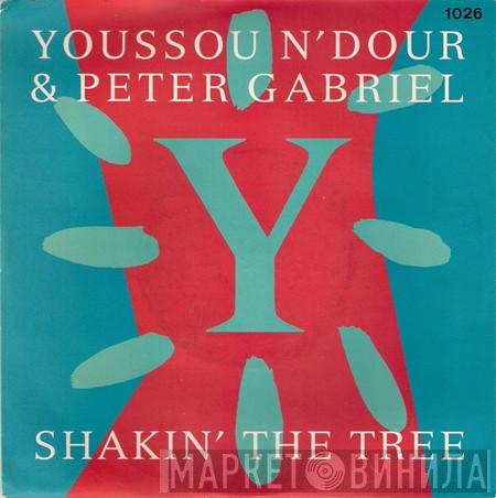 & Youssou N'Dour  Peter Gabriel  - Shakin' The Tree