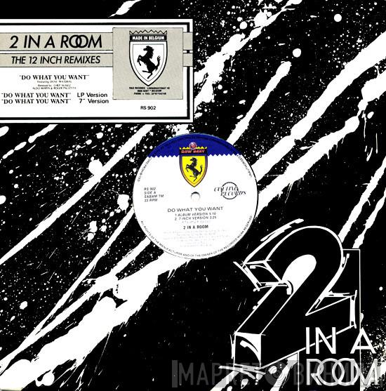  2 In A Room  - Do What You Want (The 12 Inch Remixes)