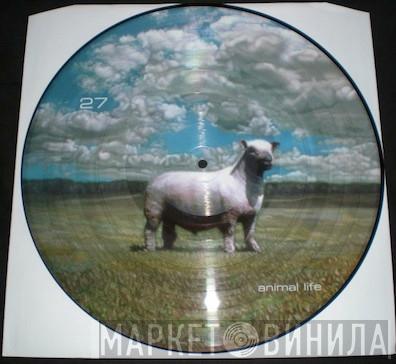 27 - Animal Life