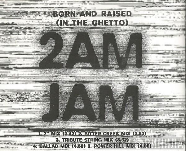  2am Jam  - Born And Raised (In The Ghetto)