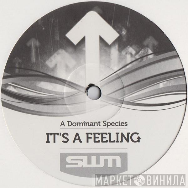 A Dominant Species - It's A Feeling
