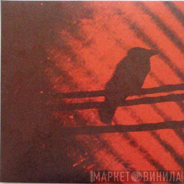 A Silver Mt. Zion - Born Into Trouble As The Sparks Fly Upward.