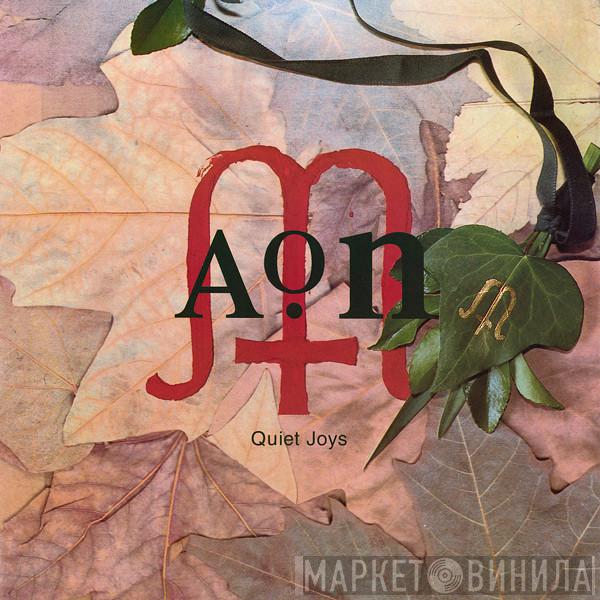 AON  - Quiet Joys
