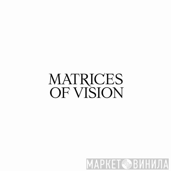 Abigail Toll - Matrices of Vision