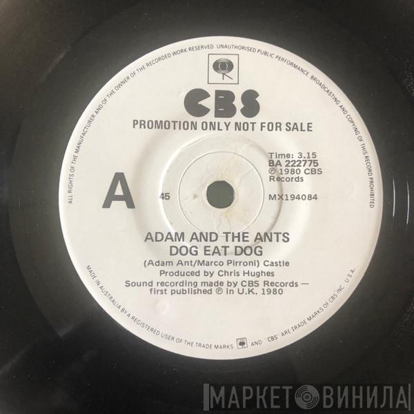  Adam And The Ants  - Dog Eat Dog