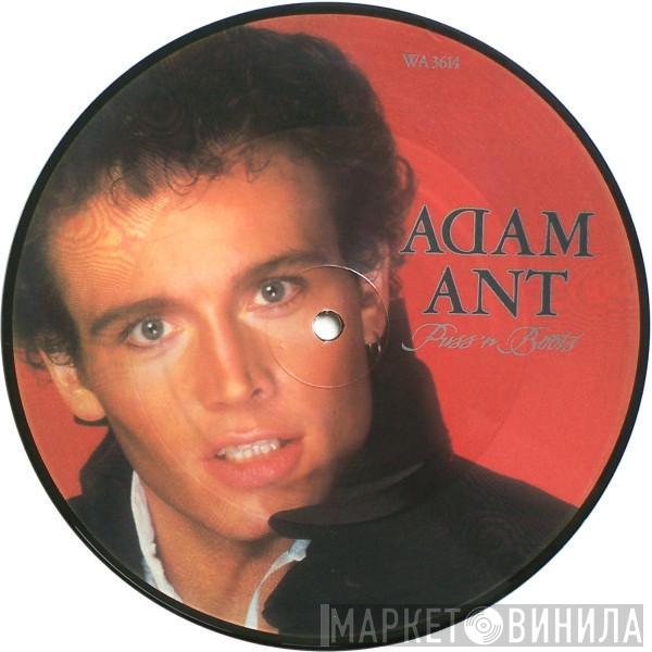 Adam Ant - Puss'N Boots
