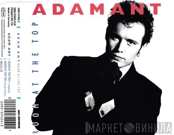  Adam Ant  - Room At The Top
