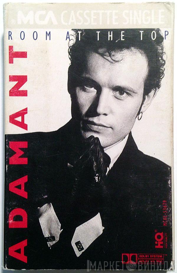  Adam Ant  - Room At The Top