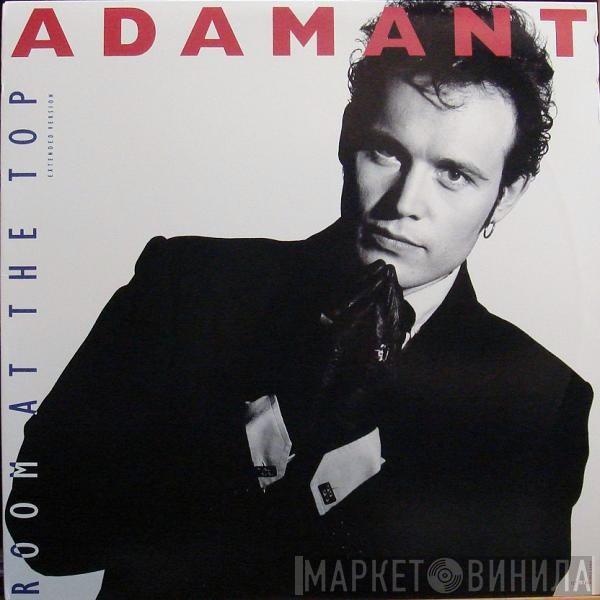  Adam Ant  - Room At The Top
