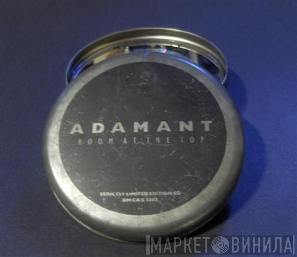  Adam Ant  - Room At The Top